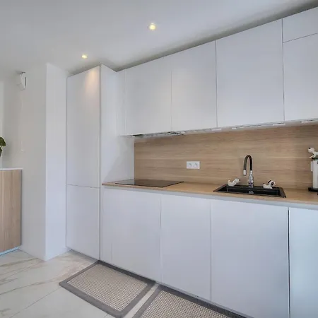 Somptuous 2 Bedroom Fully Renovated With Panoramic Sea View Appartement